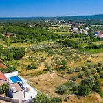 Mimi Zadar